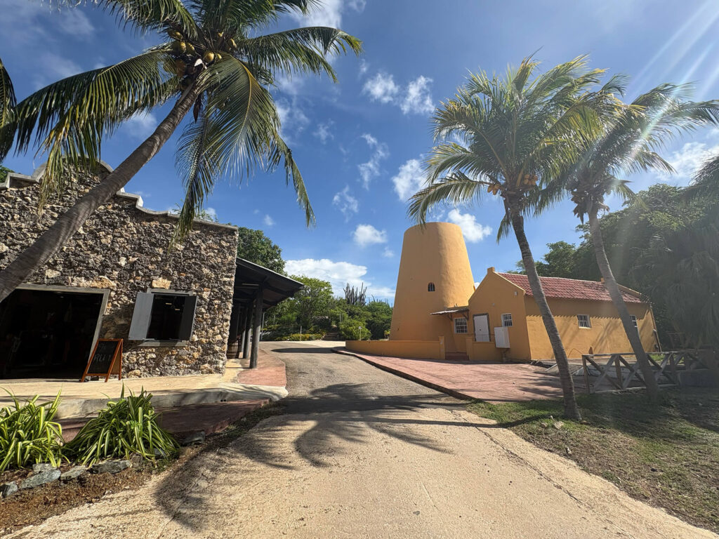 Hofi Mango