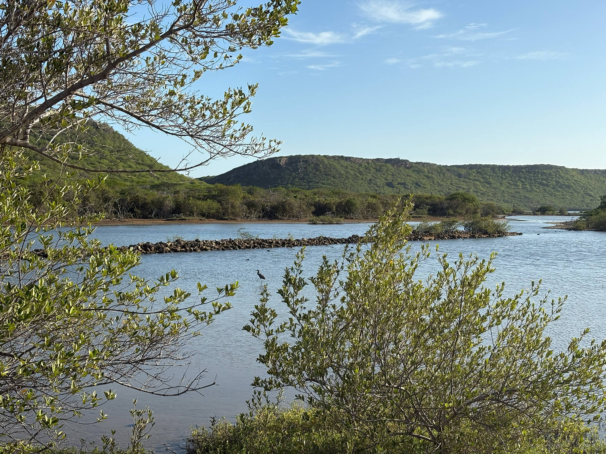 Saliña Curaçao