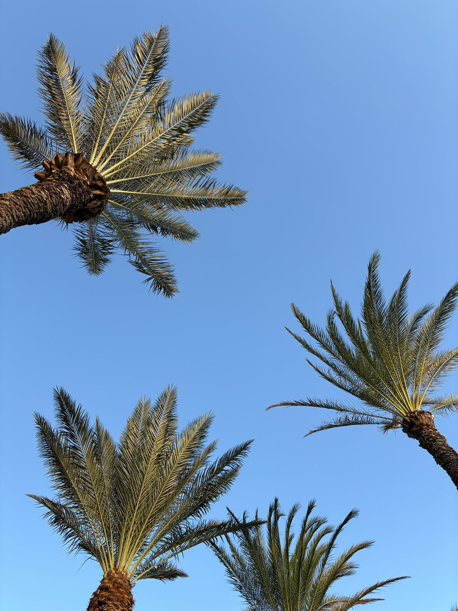Vakantiehuis kopen Curaçao