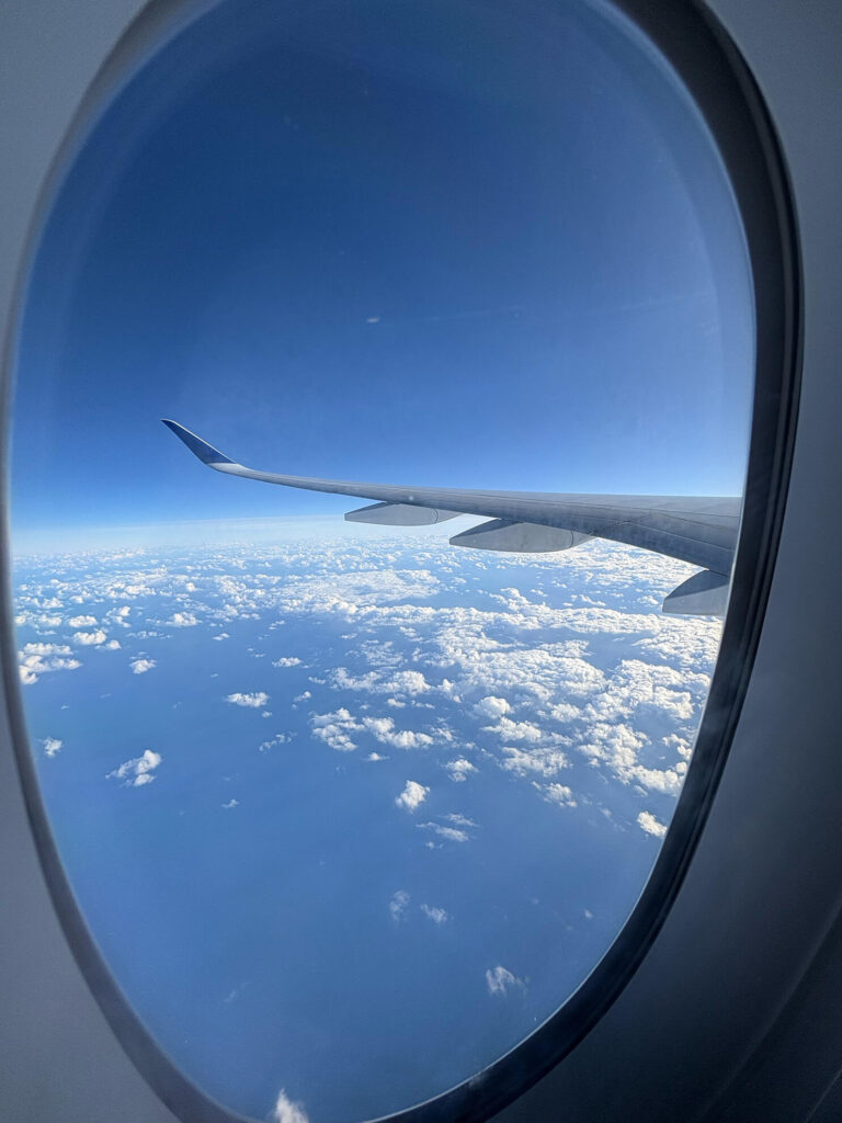 Vliegtuigraam Boven Zee Naar Curacao Vliegen